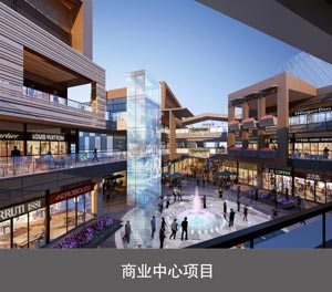 PJS202-27两柱两层WWW麻豆门网站系列设备商业中心项目