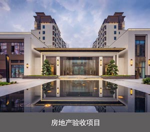 PJS202-27两柱两层WWW麻豆门网站系列设备房地产验收项目